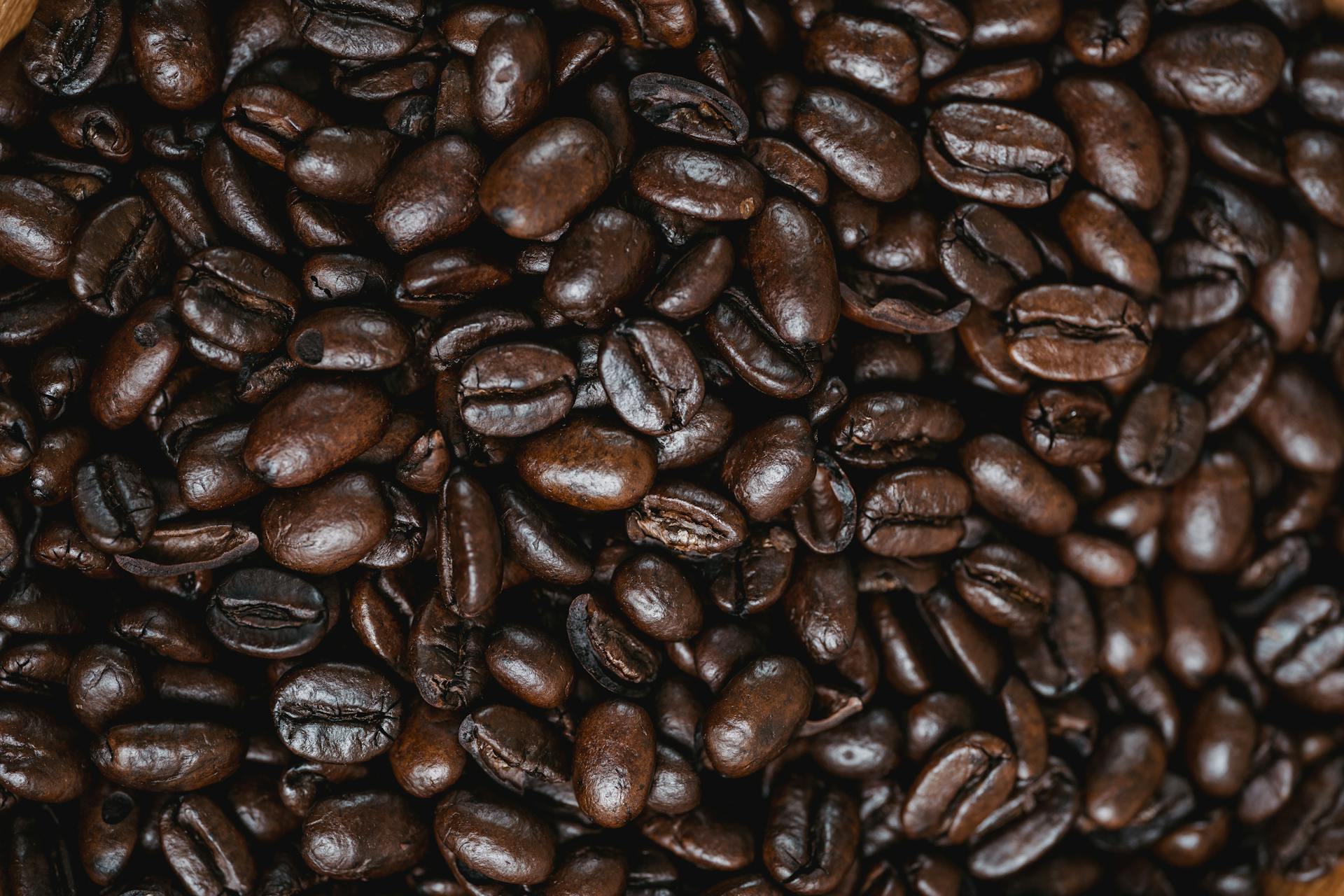 Premium Kaffeebohnen bei Liquid Beans