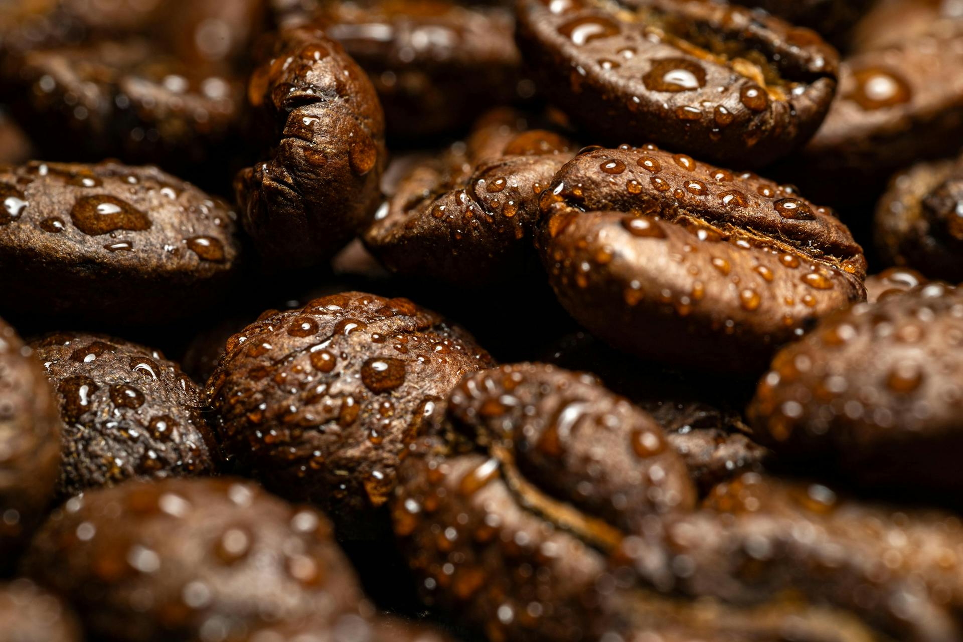 Über Liquid Beans — Dein Café in Bietigheim-Bissingen